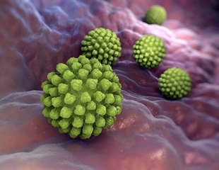 Cases of rotavirus infections fall by 84% thanks to vaccination