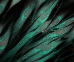 FUJIFILM Irvine Scientific to exclusively distribute chemically defined substrate for stem cell culture