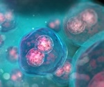 Cell growth and cell division genes identified