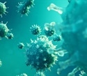 Researchers uncover how HIV-1 uses RNA:DNA hybrids to integrate into the genome