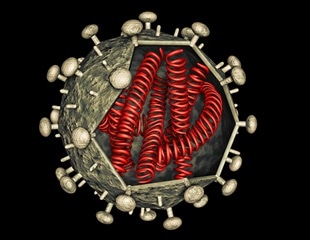 Study shows how HIV leads to chronic pain