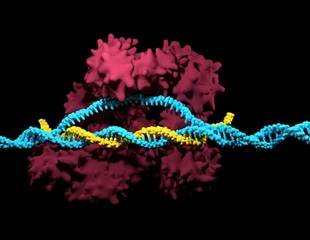 Mice cured of HIV in an experiment sparks new hope
