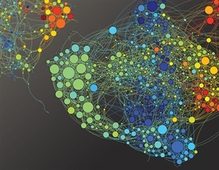 Strong memories formed by "teams" of neurons firing in synchrony