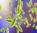 Large-scale meteorological patterns linked to Ebola virus outbreaks