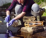 Stanford Woods Institute awards five new EVP grants for interdisciplinary research