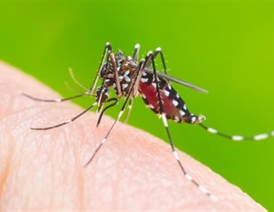 Evidence of African lineage Zika virus circulation in neotropical primates in Southern Brazil