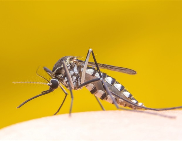 UQ researchers capture first high-resolution images of the yellow fever virus