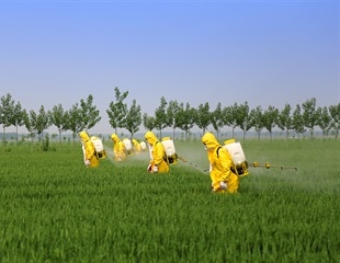 Pesticide exposure on the job related to more strokes, heart attacks