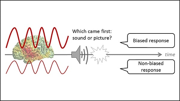 Alpha brain waves indicate how an individual will respond to bias Alpha brain waves indicate how an individual will respond to bias