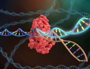 Finding new treatments for muscular dystrophy with CRISPR-Cas9