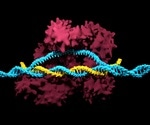 Horizon Discovery introduces Cas9 and dCas9-VPR stable cell lines to simplify and accelerate CRISPR gene editing workflows
