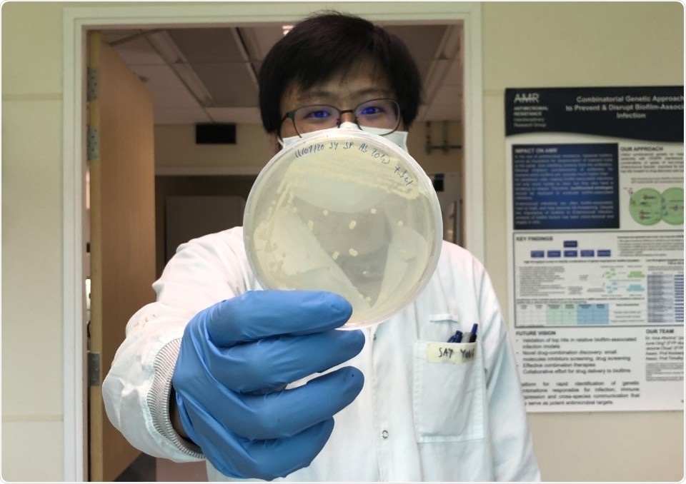 SMART researchers discover new way to reverse antibiotic resistance in some bacteria