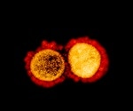 Newly developed fusion protein could improve COVID-19 research