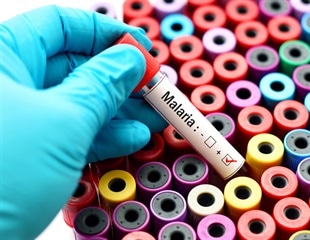 New structural insights overturn old assumptions about malaria entry