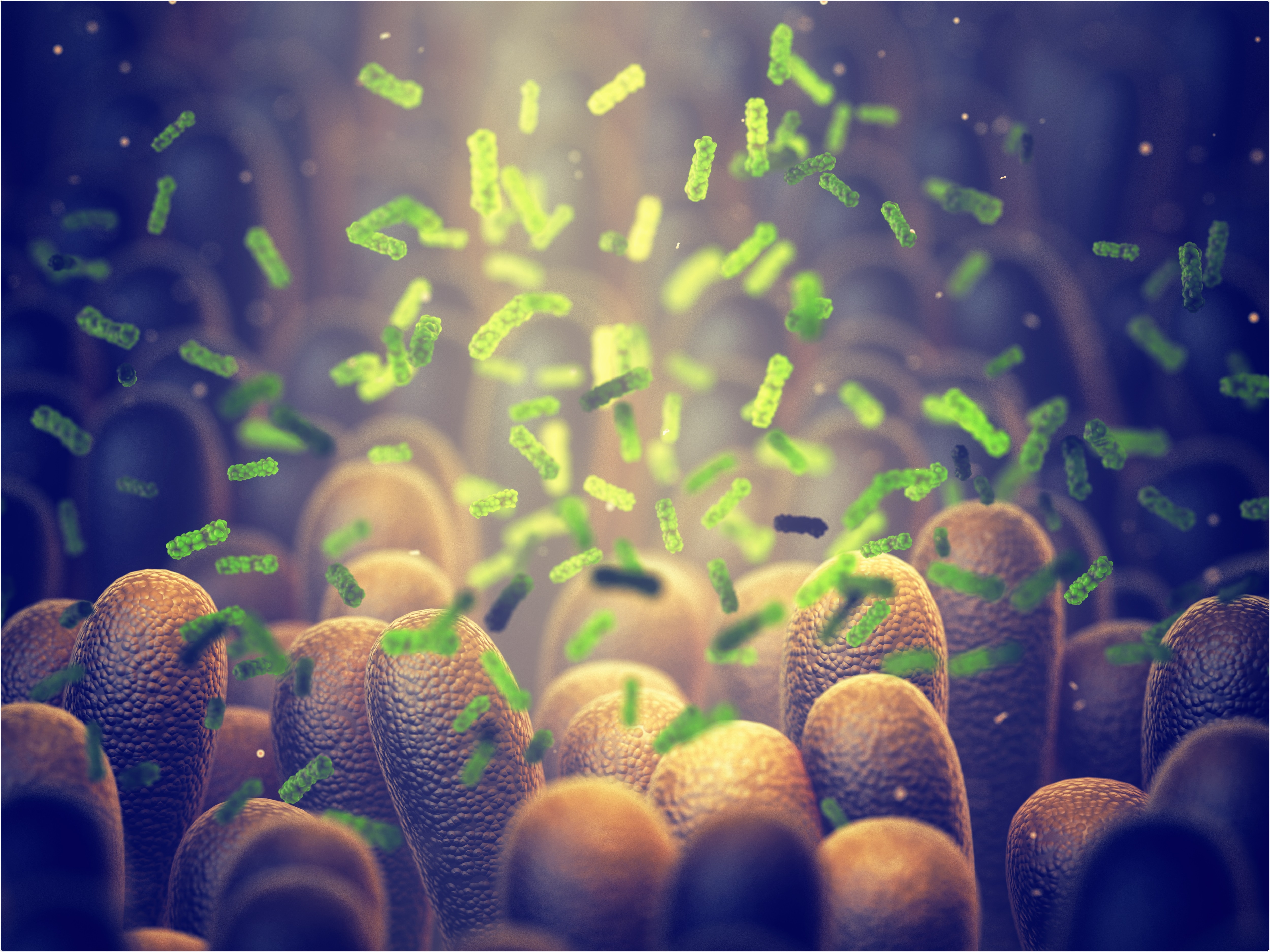 Study: Excessive inflammatory and metabolic responses to acute SARS-CoV-2 infection are associated with a distinct gut microbiota composition. Image Credit: Nobeastsofierce / Shutterstock