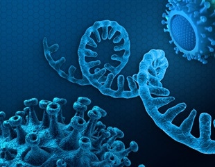 Fast evolution of SARS-CoV-2 driven by extensive RNA deamination by host cells