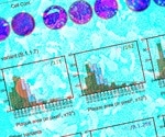 Study pinpoints potential transmission advantage of SARS-CoV-2 variant B.1.1.7