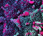 Risk of SARS-CoV-2 from reinfected individuals with previous infection or vaccination