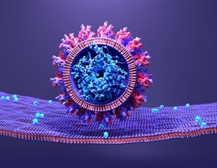 New study maps SARS-CoV-2 and host protein interactions in detail