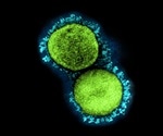 SARS-CoV-2 vaccine with single-cycle adenovirus vector