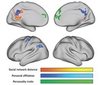New research unravels how the brain encodes social network structure