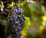 Preventing Wine Adulteration