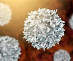 Study observes broad and invariable memory B cell response following SARS-CoV-2 infection