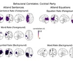 Math and language processed by separate networks in the brain, reveals research