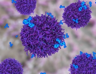 New study reveals unique immune responses to SARS-CoV-2, Ebola and respiratory syncytial virus using B cell repertoire analysis