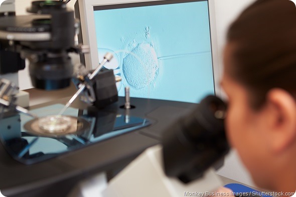 three-person IVF