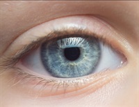Researchers design new ocular insert to administer antioxidants in the eye Researchers design new ocular insert to administer antioxidants in the eye