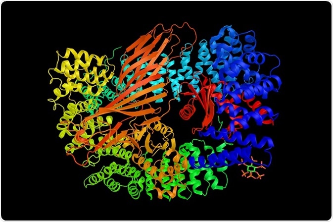 Protein Substrate Complex Using Mass Spectrometry for Protein Complex Analysis