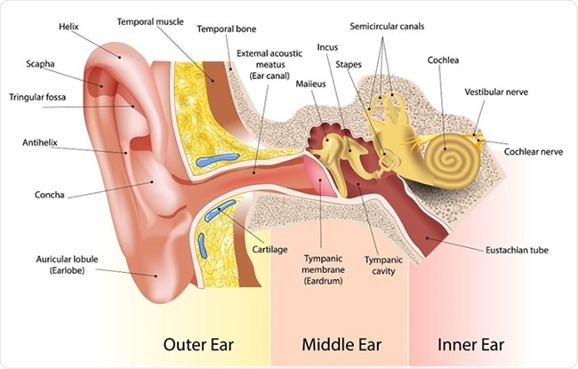 Symptoms of Ear Cancer