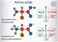 isoelectric point of glutathione Overview of the Isoelectric Point (pI)