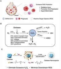 Common antioxidant enzyme catalase as COVID-19 treatment