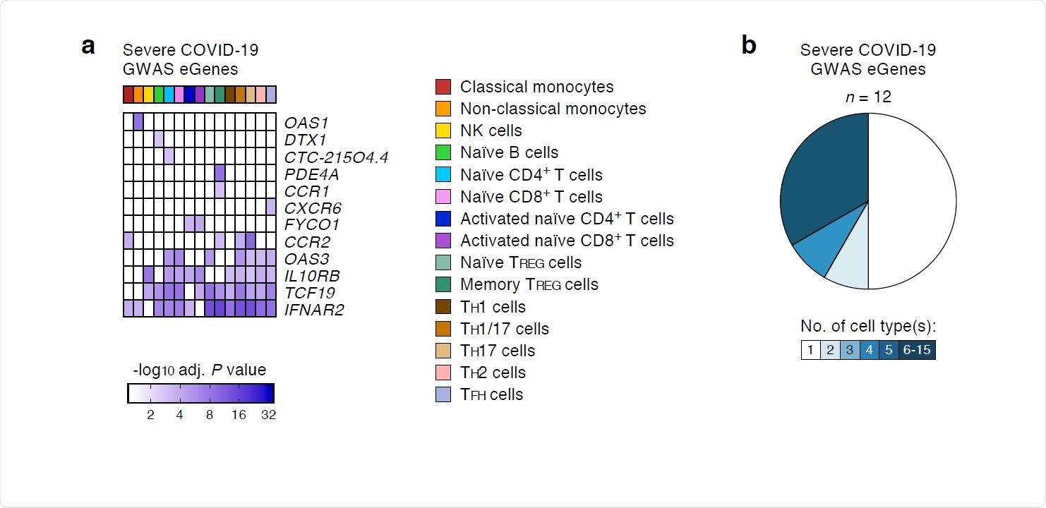 COVID-19 genetic risk variants impact diverse immune cell types and ...