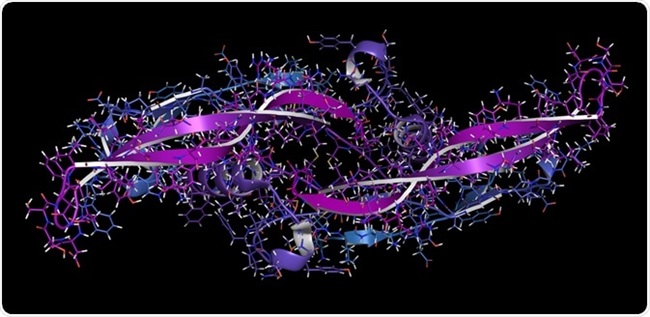 An Overview of Morphogens and their Signaling Pathway