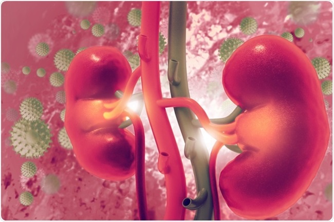 What is Azotemia?