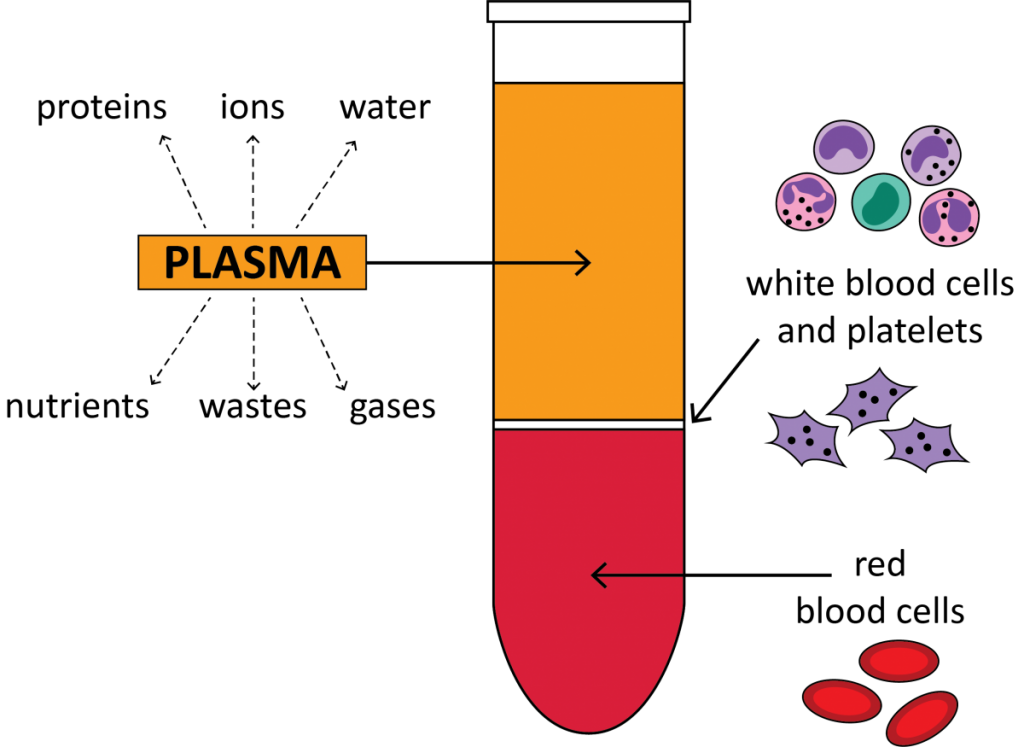The most effective blood separation methods