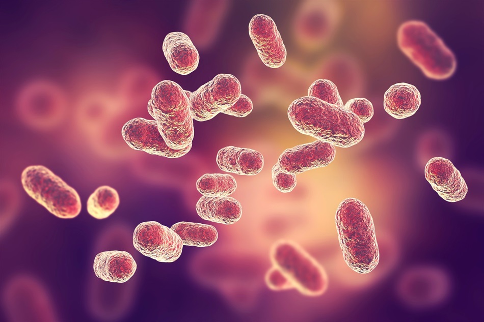 Bacterial Vaginosis Treatment