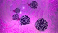 DNA Tumor Viruses 第二版 Part 2 ImageForNews_743798_1680526815