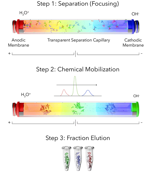 MauriceFlex™ for protein fractionation : Get Quote, RFQ, Price or Buy