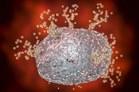 ipamorelin flushing histamine release Histamine Storage and Release