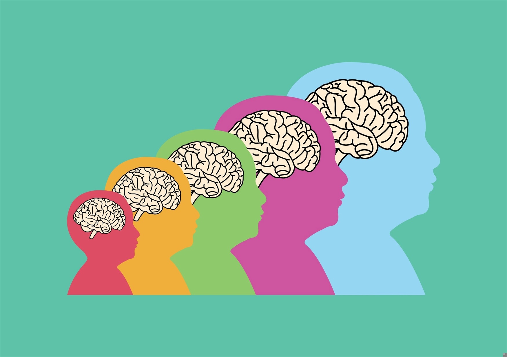 Neurodevelopmental Science Neurodevelopment: From Embryo to Adult Brain