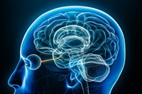 naion semaglutide linked to increased risk of vision loss in diabetes patients Study links Wegovy to increased