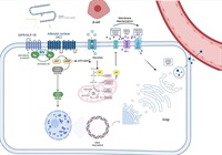 tirzepatide and claritin Twincretin drug Tirzepatide shows unmatched efficacy in weight loss and  diabetes management