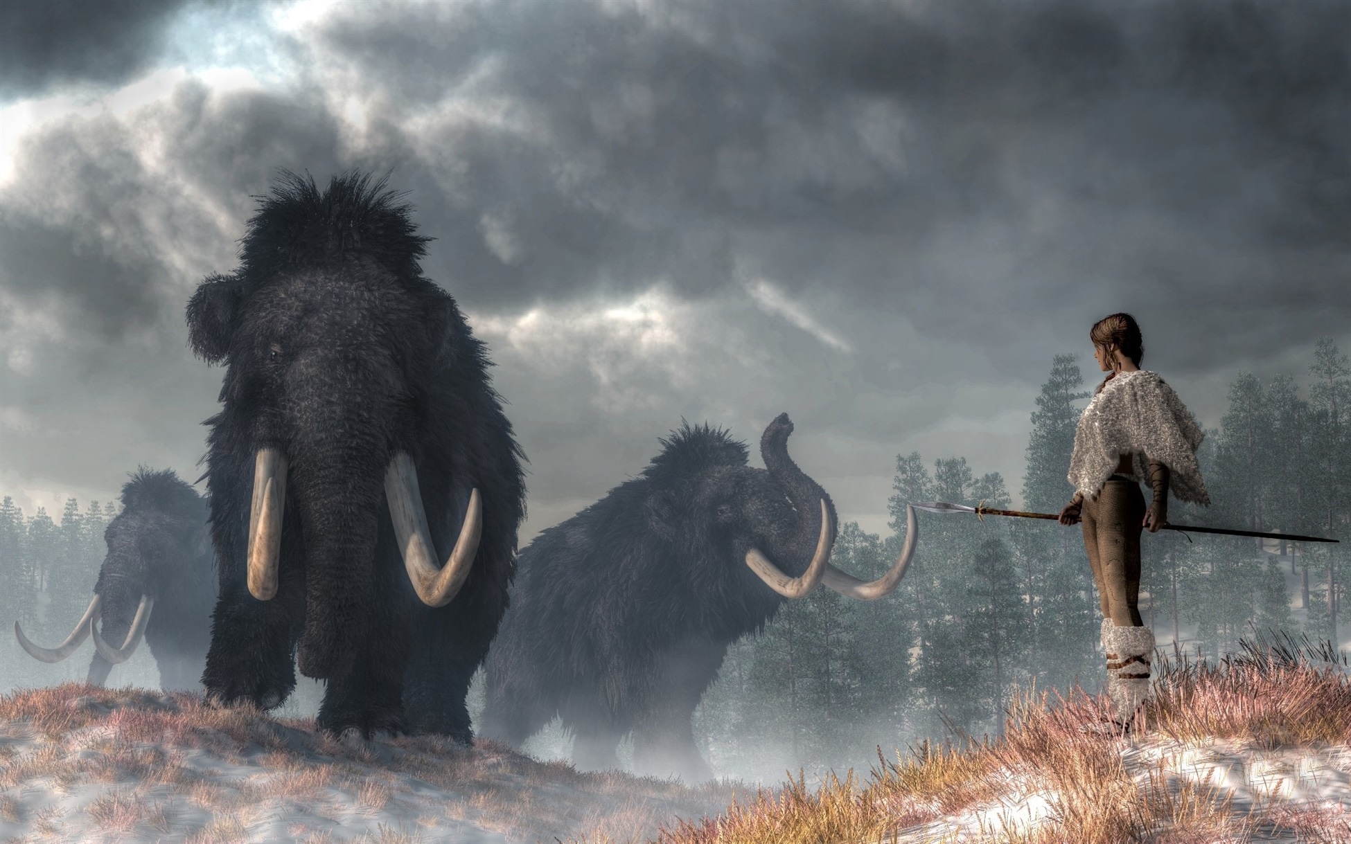 Climate change shaped human evolution, driving migration and cultural ...