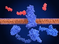 semaglutide type 2 diabetes lifestyle changes Semaglutide and Type 2 Diabetes: Efficacy, Safety, and Outcomes