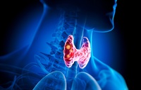 glp 1 papillary thyroid cancer GLP-1 and Link Lacks Evidence, White Paper Finds | Targeted Oncology GLP-1 receptors (GLP-1R) are expressed