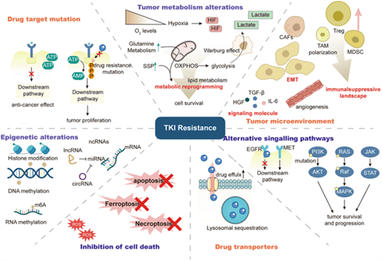 Next-gen Kinase Inhibitors in clinical therapy